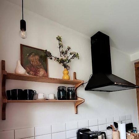 Vintage Anna Apartment Кулдіга Екстер'єр фото